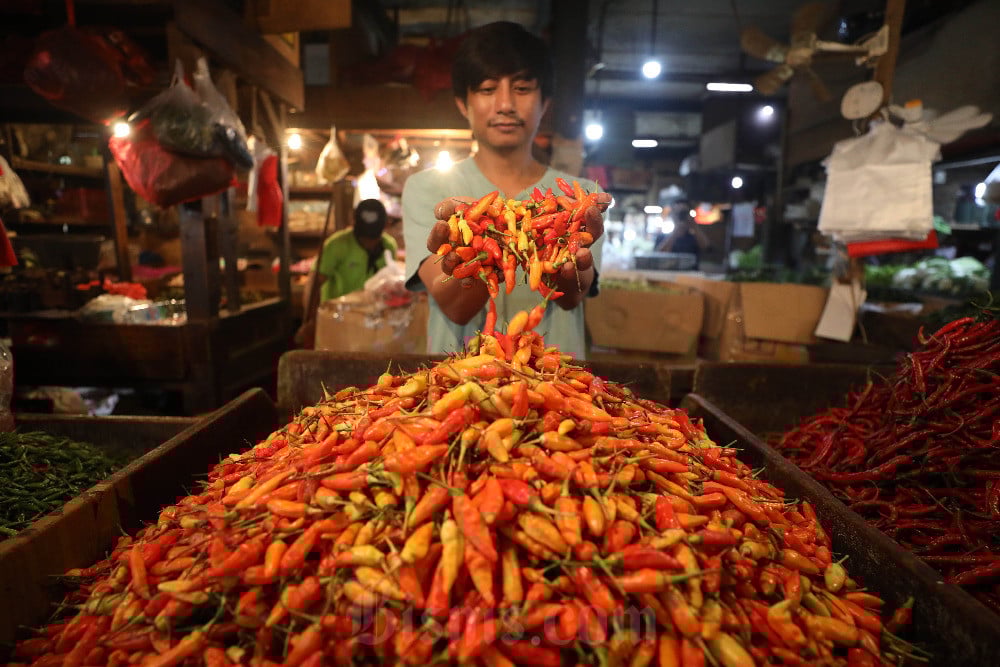 Harga Cabai Rawit Melambung, Capai Rekor Tertinggi hingga Rp200.000 per Kg